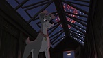 Lady and the Tramp II: Scamp's Adventure picture
