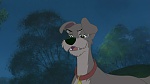 Image Lady and the Tramp II: Scamp's Adventure
