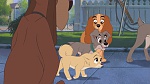 Image Lady and the Tramp II: Scamp's Adventure