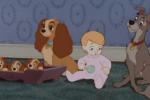 The Lady and the Tramp overview