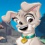 Scamp95