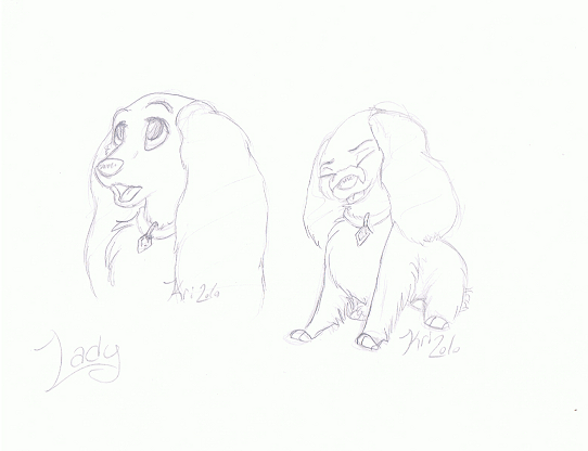 Lady Concepts
