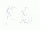 Lady Concepts