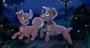 Chasing Fireflies