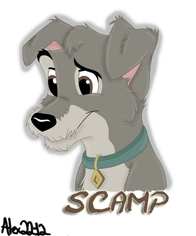 Badge Scamp 
