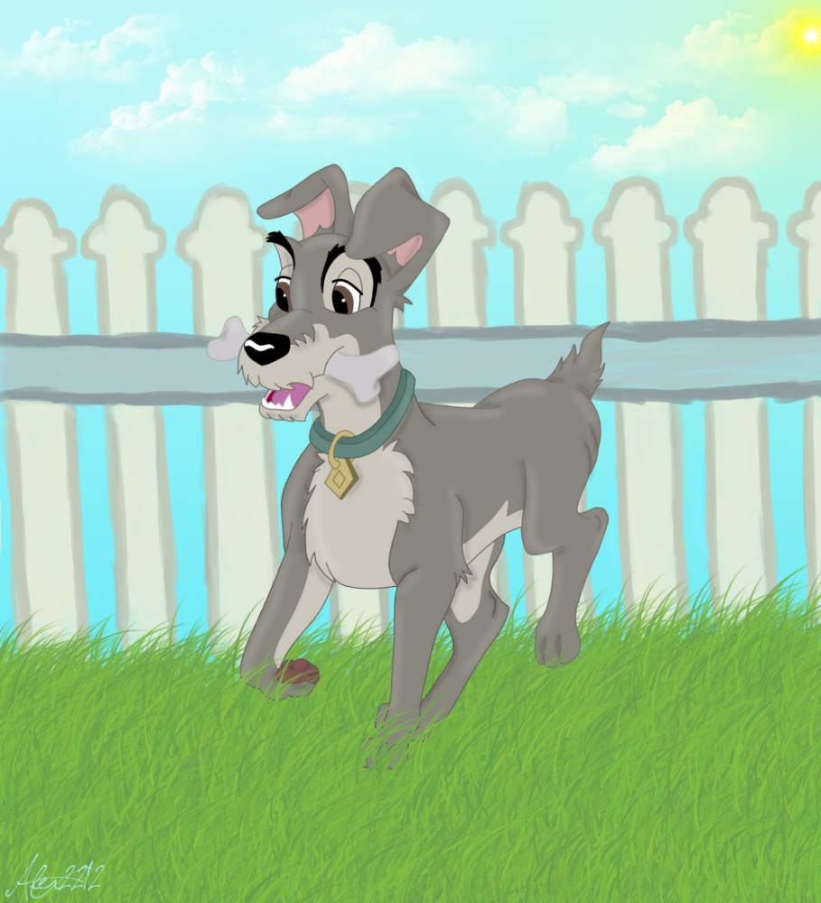 Scamp adulte