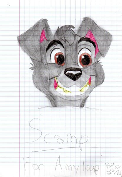 Scamp