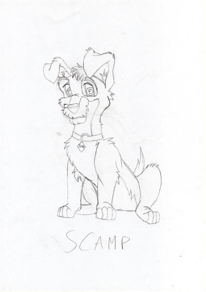 Scamp 2