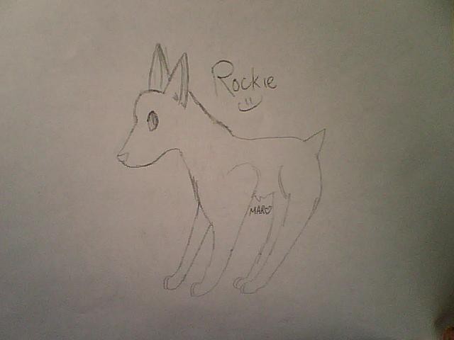 ROCKIE C:
