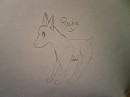 ROCKIE C: