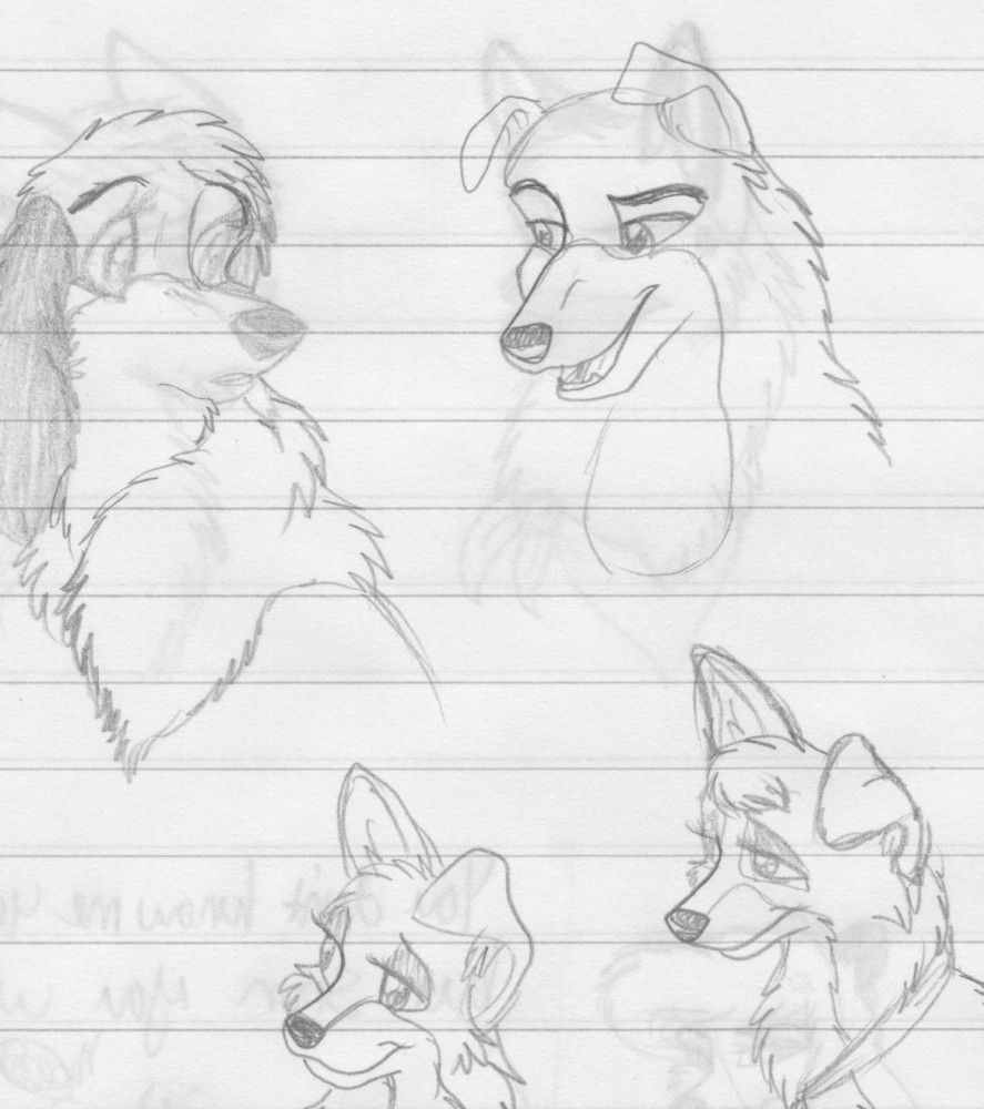Buster, Ruby and Angel doodles