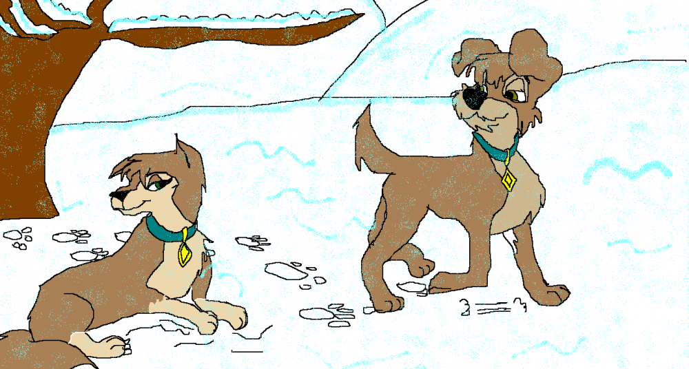 scamp and danna