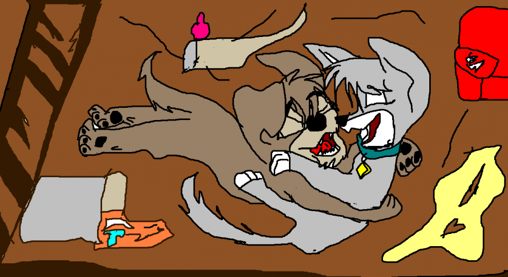 cho and scamp