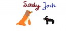 Lady and Jock