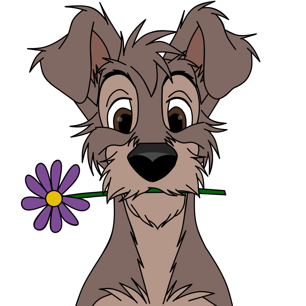 Scamp Adulte 