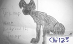 chi123