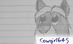 cowgirl645