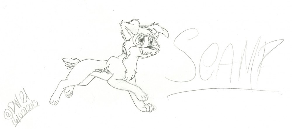 Scamp adult