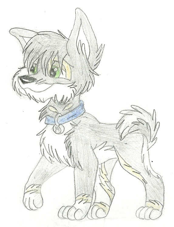 My new character: Junior