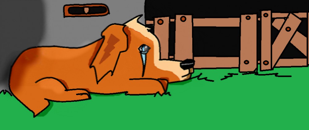 Speedy is lost 