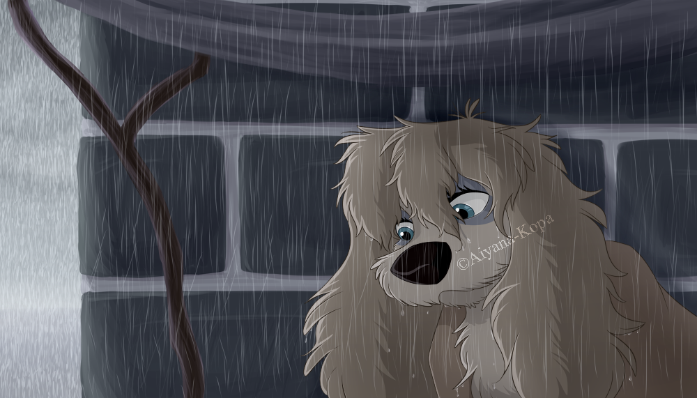 Downpour