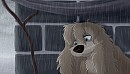 Downpour