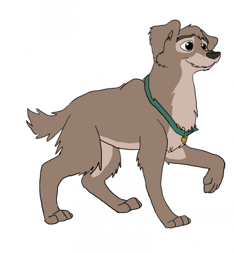 Scamp grown up