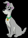 Adult Scamp