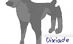 dixiade