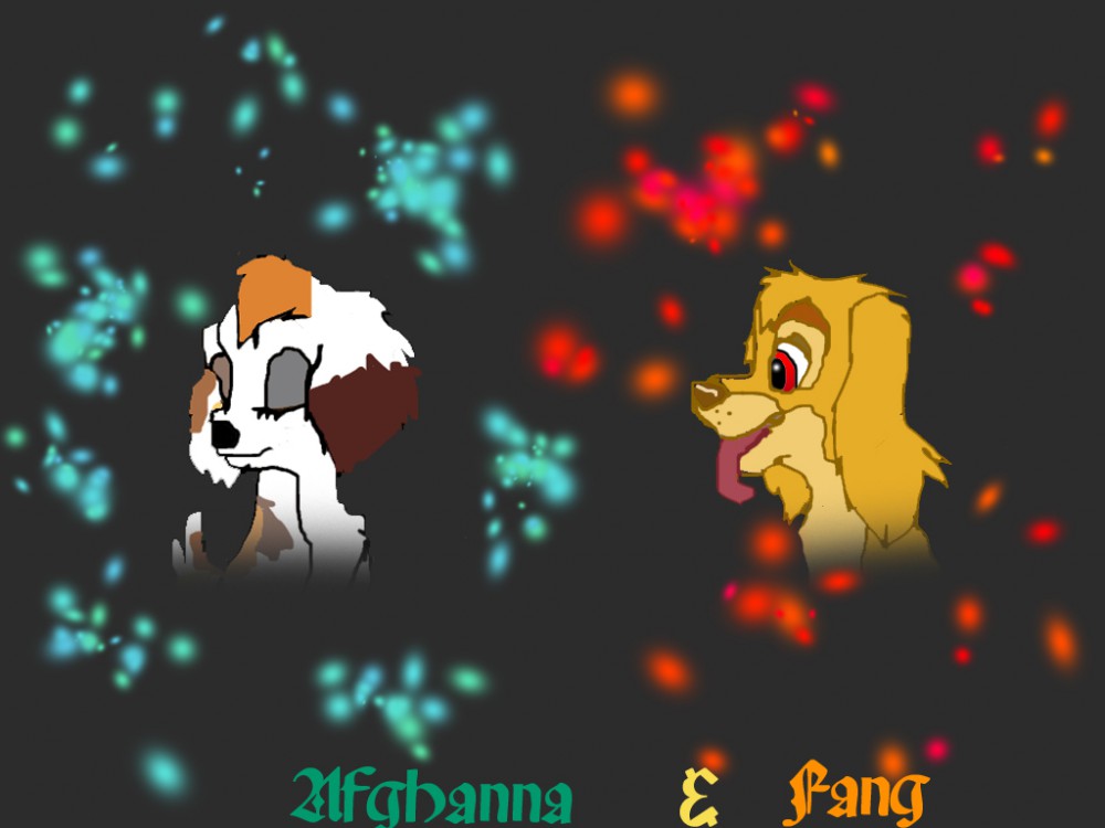 Fang & Afghanna