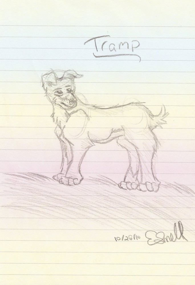 Tramp Sketch