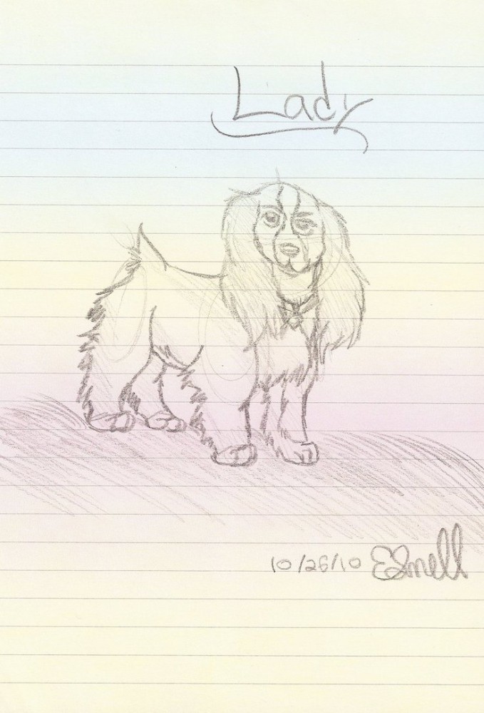 Lady Sketch
