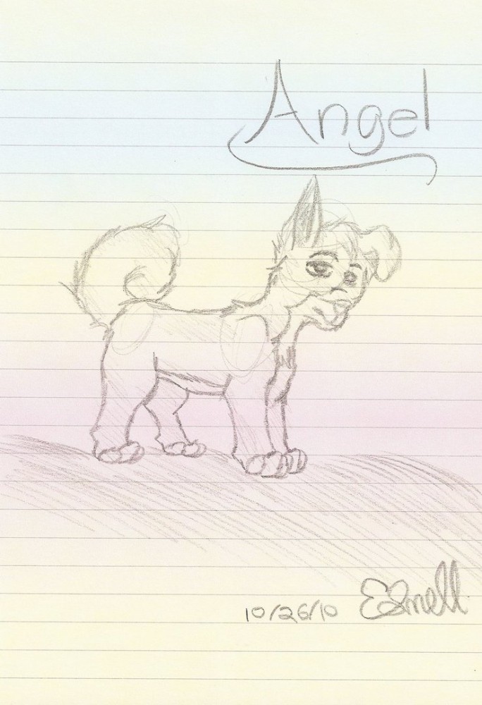 Angel Sketch