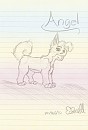 Angel Sketch