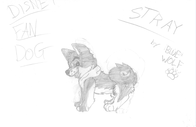 The original Stray