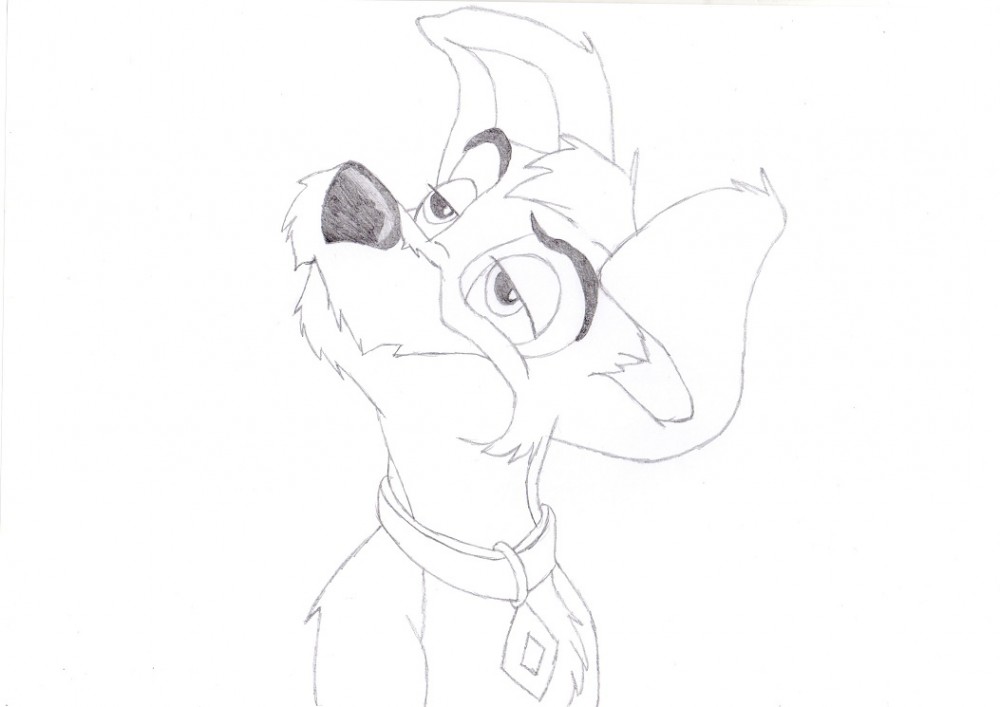 Scamp