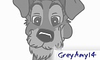 GreyAmy14
