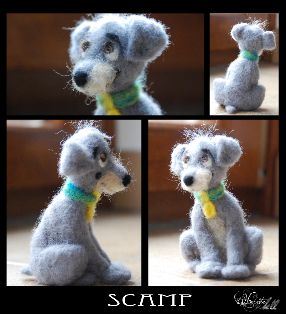 Scamp - Laine feutrée 