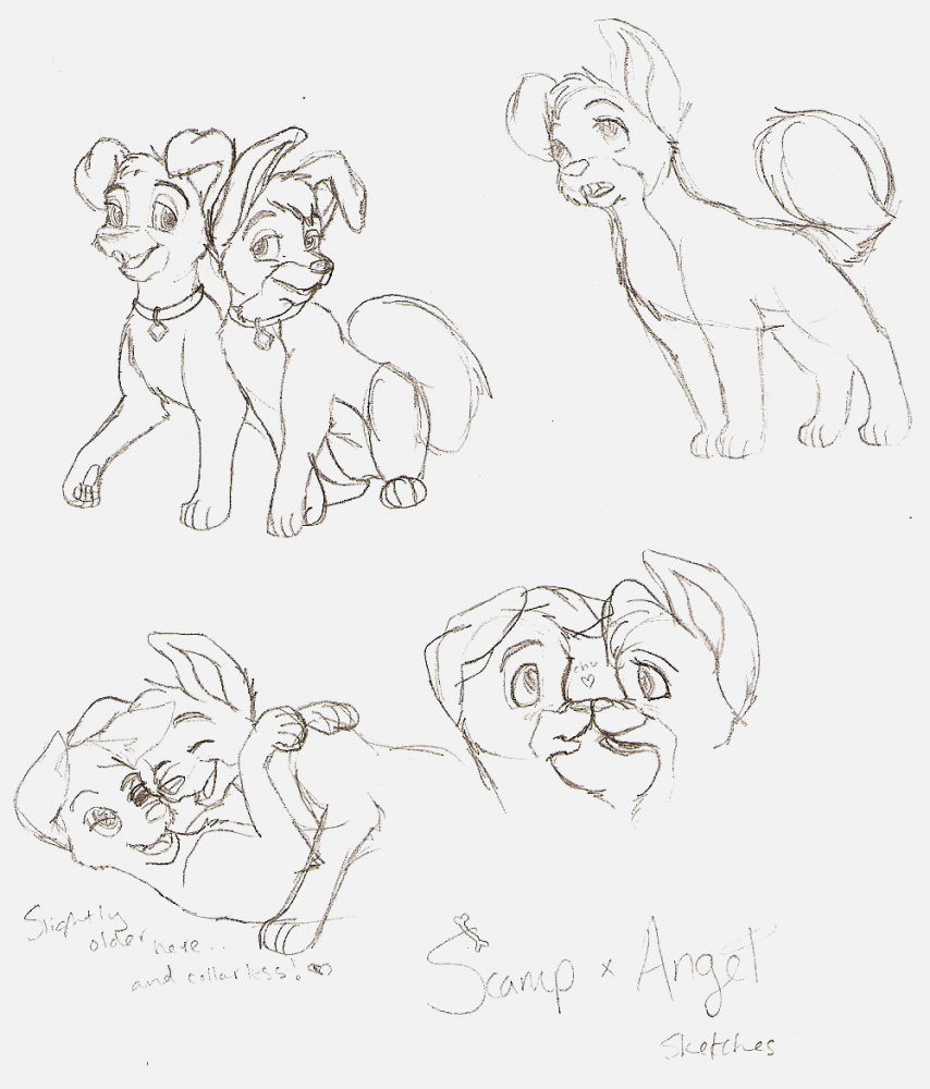 Scamp and Angel - Puppy LUV sketches