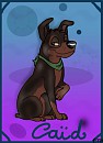Le Caïd chiot