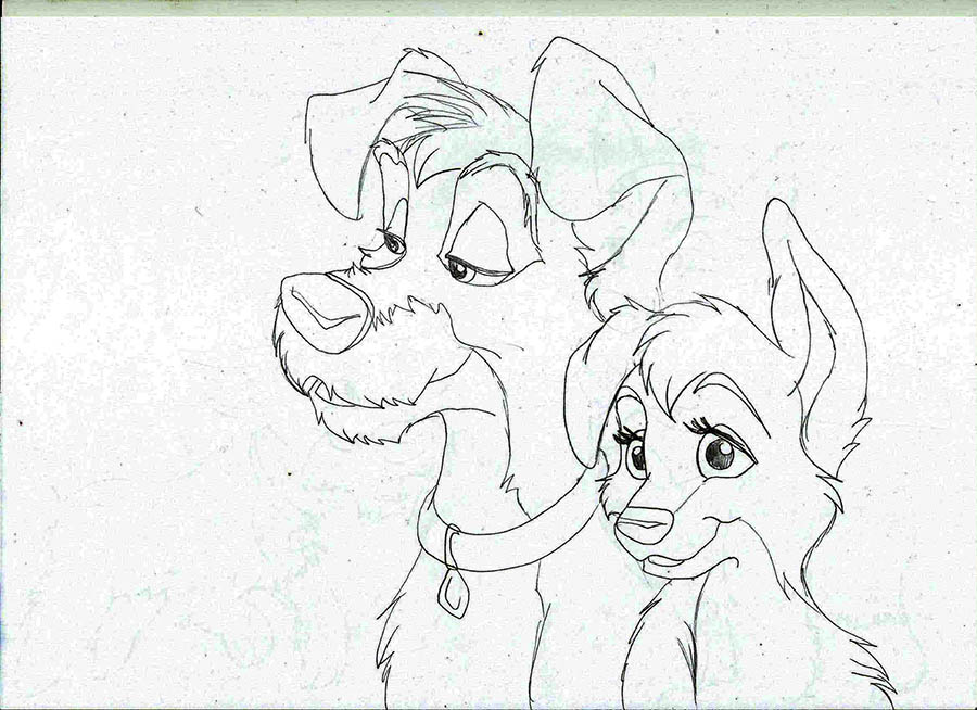 Ange et Scamp adultes