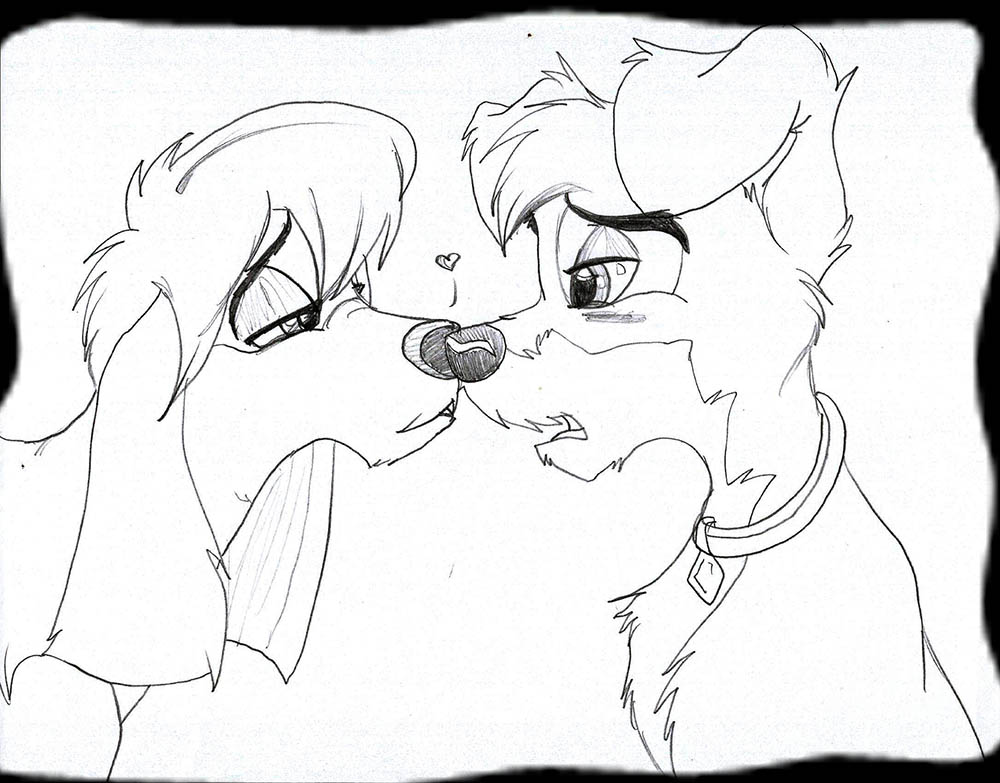 Scamp et Puka en couple