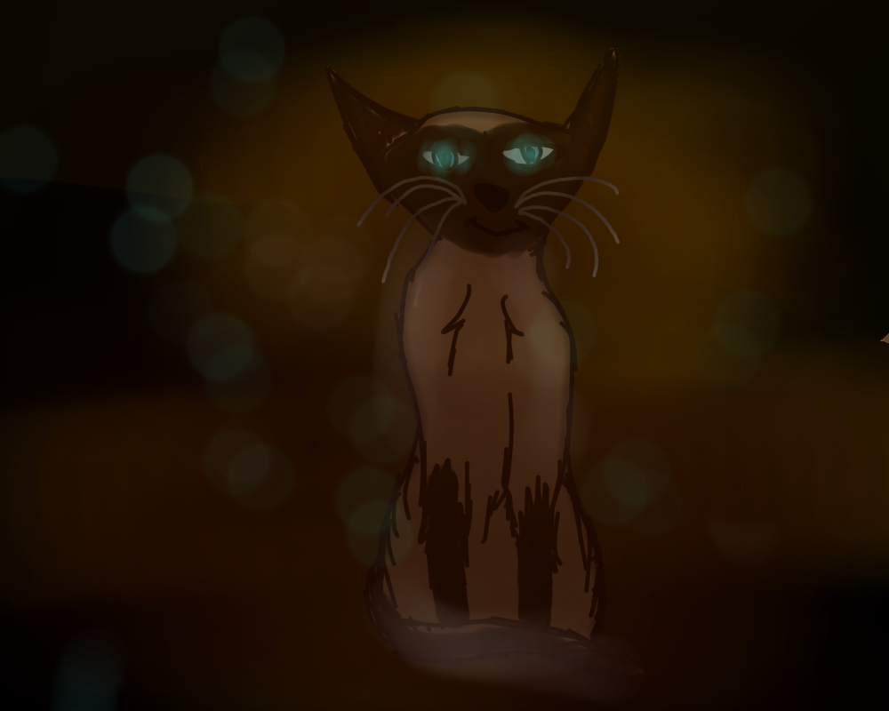Hey, do you know I'm here, in the shadow ?