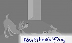 KävikTheWolfDog
