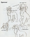 Spencer Sketches