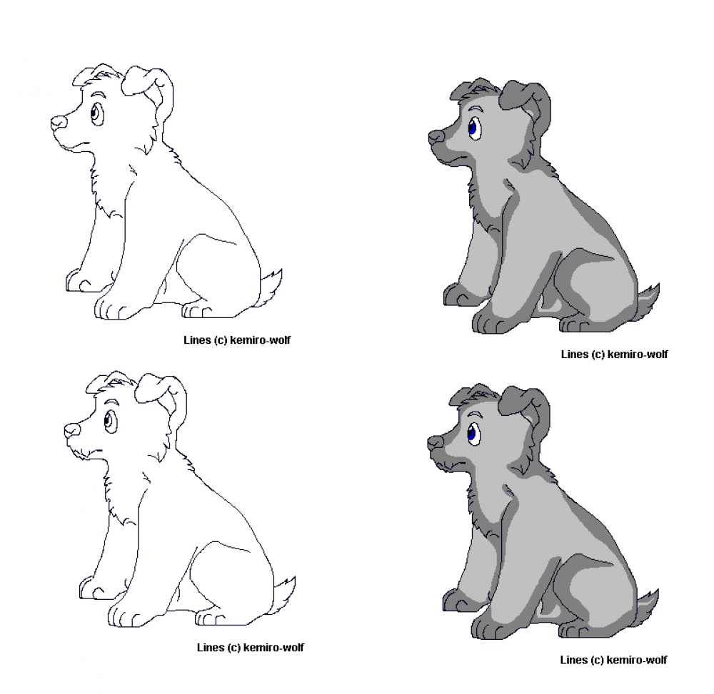 LATT Puppy Lines