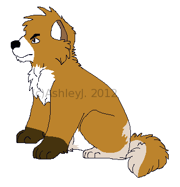 1st Drawing of Bruce