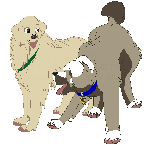 Samuel and Natasha :Request for Cloudtail: