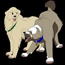 Samuel and Natasha :Request for Cloudtail: