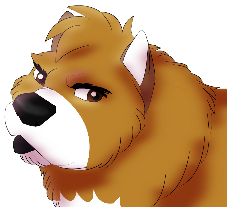 Bruce Headshot